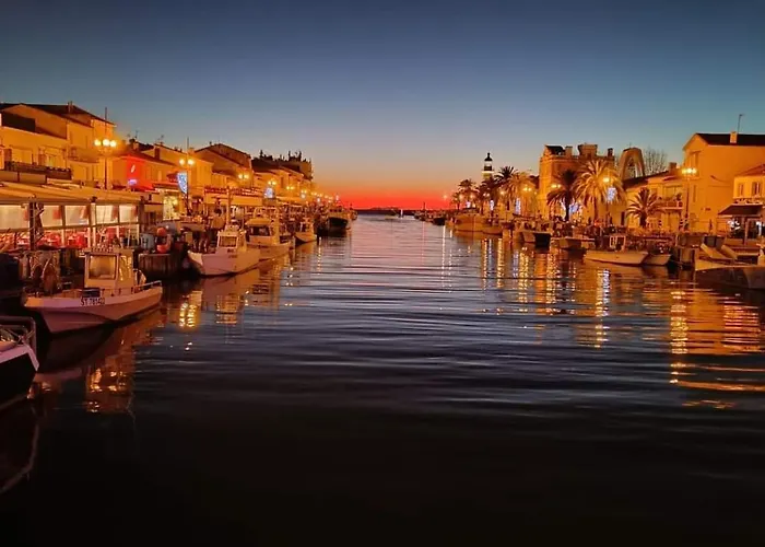 Appartement 3 Pieces - Du Roi