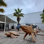 3 Pieces - Du Roi Apartament